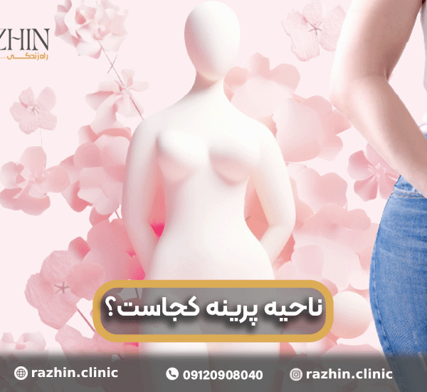 ناحیه پرینه کجاست